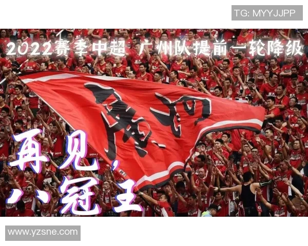 深圳篮球队实力引发热议球迷对球队表现的看法与争论