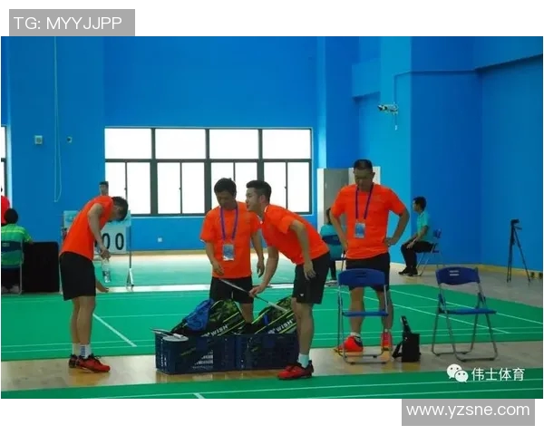 深入分析北京羽毛球队的区域防守战术及其战术优势与应用