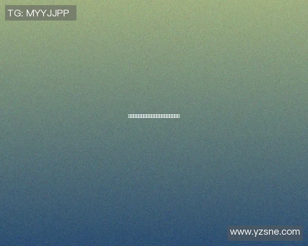 深圳与重庆篮球队的速度较量赛后分析与复盘