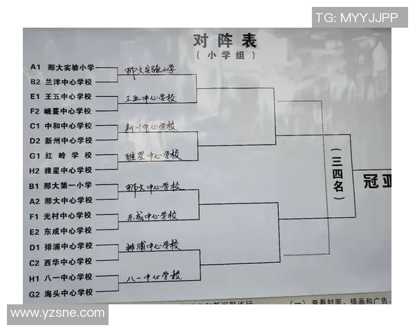 深入分析上海篮球队的技术特点与战术运用探讨