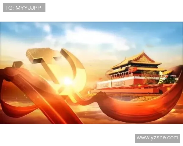 深圳排球队逆袭之旅揭示团队精神与奋斗的力量