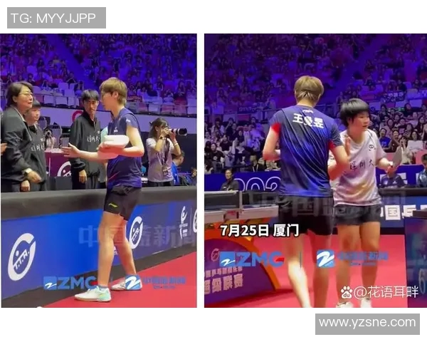 聚焦乒乓球：成都乒乓球队的技术话题