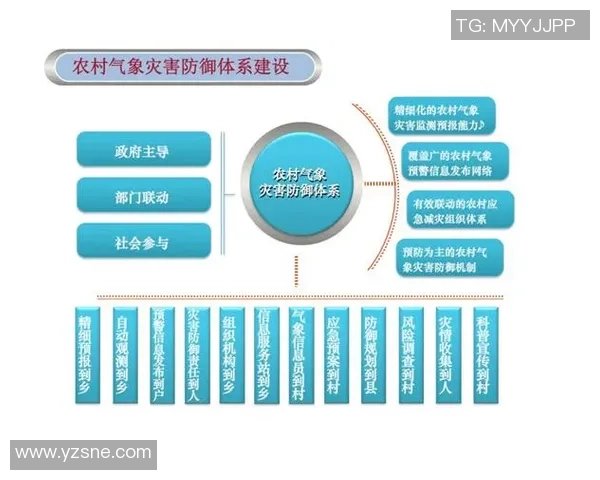 成都羽毛球队防守体系解析与战术运用研究 成都羽毛球队防守体系解析与战术运用研究