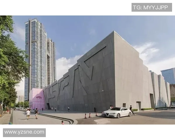 武汉滑板队的防守策略解析与滑板热点的深度探讨