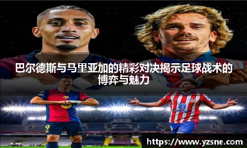 bsports必一体育